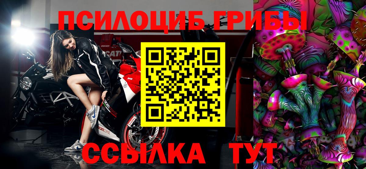 Псилоцибиновые грибы Cubensis Кинель
