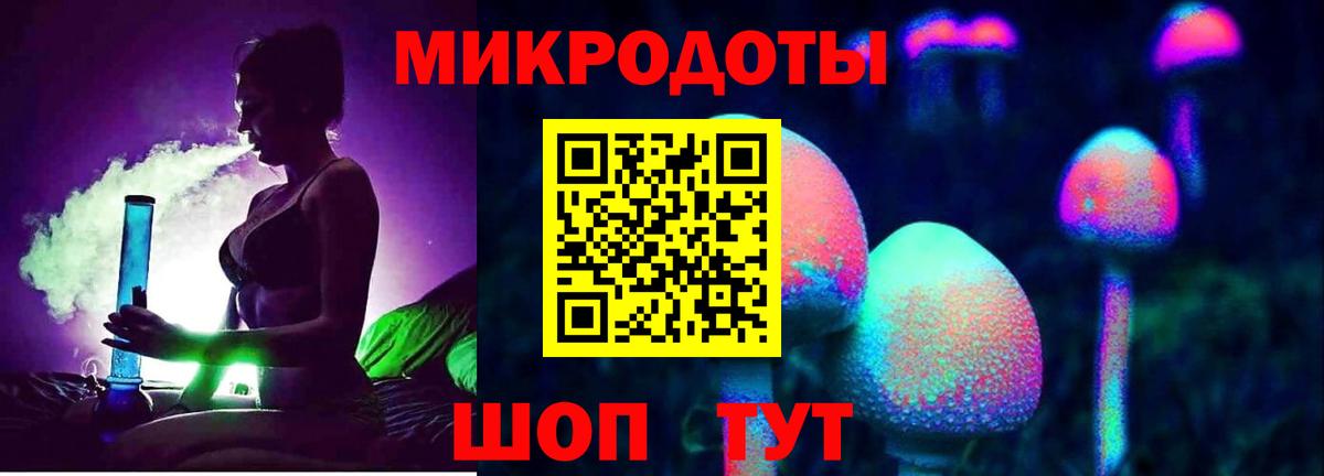 Псилоцибиновые грибы Psilocybe  Галлюциногенные грибы мицелий  Кинель  Вход с VPN 